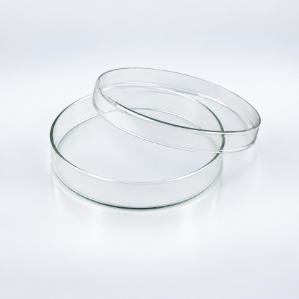 Anumbra Glass Petri Dish with Lid, 90 × 15 mm — alternative product view
