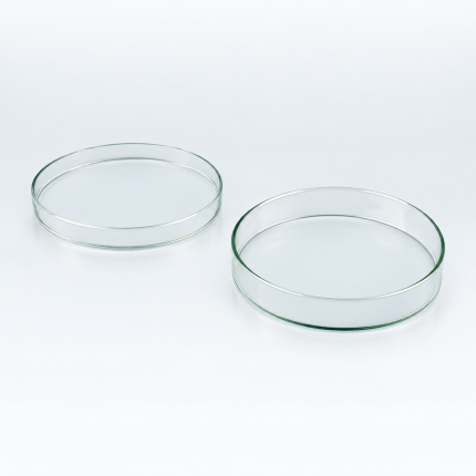 Anumbra Glass Petri Dish with Lid, 90 × 15 mm — product image